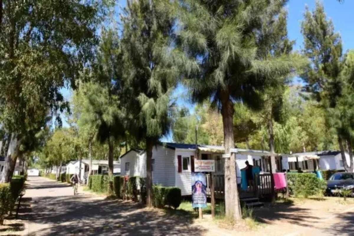 4 Etoiles - Parc Aquatique - Eebaha Campsite Hyeres
